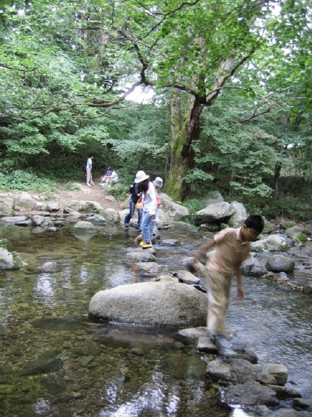 구불구불한 숲 속 오솔길, 시원스레 쏟아내는 작은 폭포, 징검다리 숲 길을 두시간쯤 걸으면 세상은 온통 녹색뿐이다. 